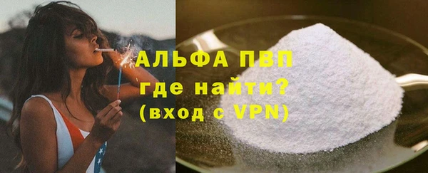 СК Вязьма