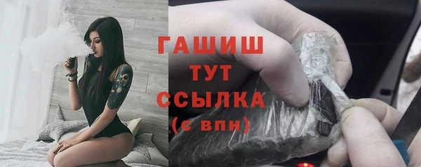индика Мегион