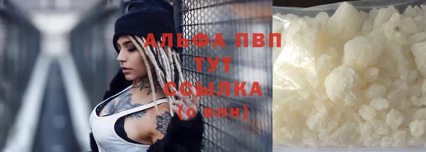 индика Мегион