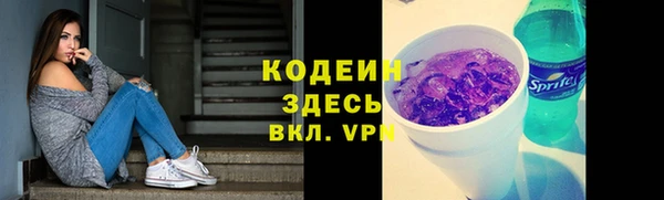 СК Вязьма