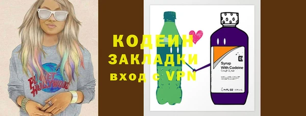 индика Мегион