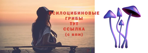 крисы Магас