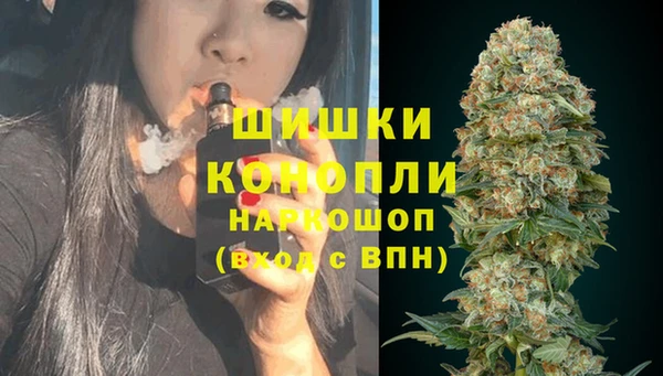 индика Мегион