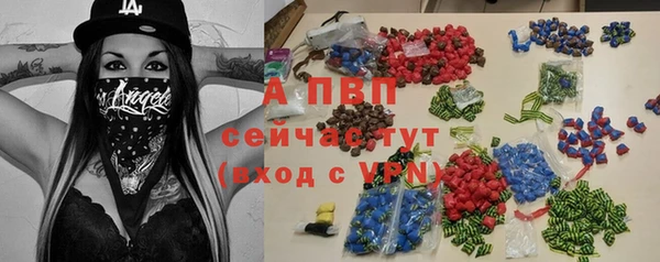 крисы Магас
